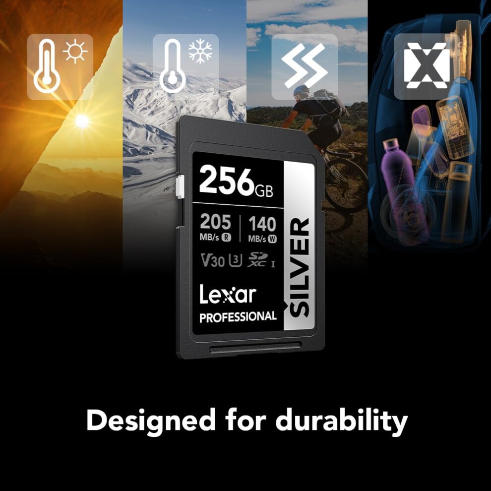 Lexar SD Silver de 256 GB UHS-I
