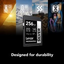 Lexar SD Silver de 256 GB UHS-I